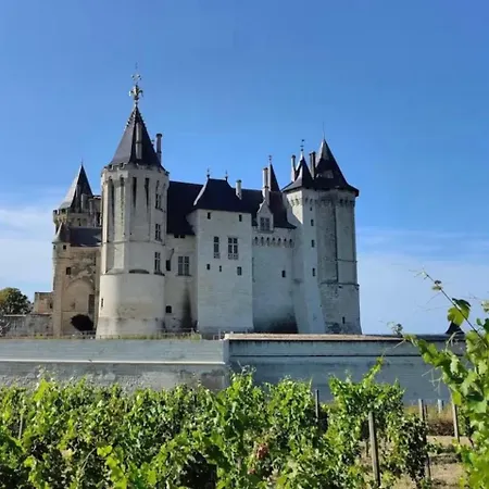 Le Bois Dormant - Charme & Tuffeau - Centre - 7 Personnes Appartement Saumur